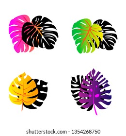 
tropical leaves with a gradient multi-colored with shadow palm branch