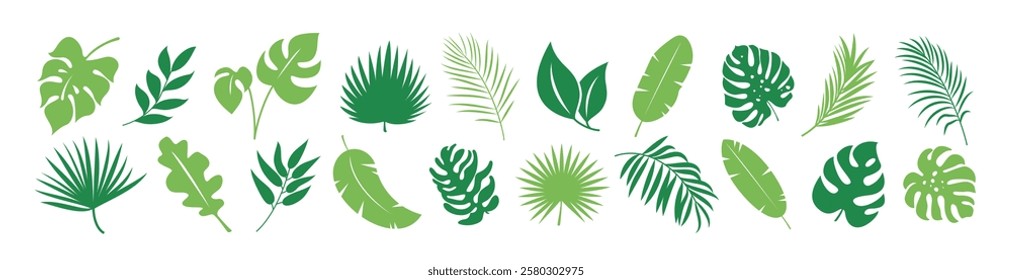 Tropical leaves green clipart set. Green leaf icon and symbol clip art collection like palm, monstera, fern and banana greenery plants elements vector illustration. 
