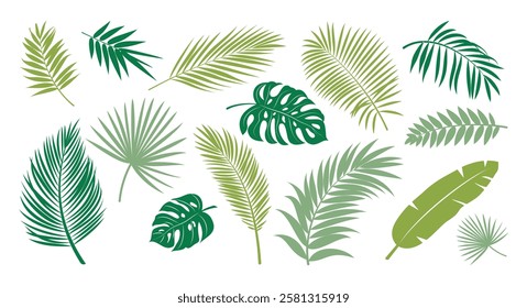 Tropical leaves green clipart set. Green leaf drawing and symbol clip art collection like palm, monstera, fern and banana greenery elements vector illustration. 
