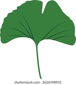 Tropical Leaves in Green Color Design. Vector Illustration Isolated on White Background