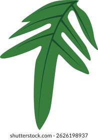 Tropical Leaves in Green Color Design. Vector Illustration Isolated on White Background