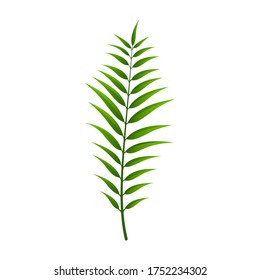 Tropical leaves with green and isolated on white background. Nature clip art. Green leaves element for design, Eps 10 vector editable