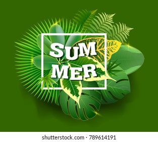 tropical leaves and green Summer backgrounds of palm leaves and wild birds.vector illustration.