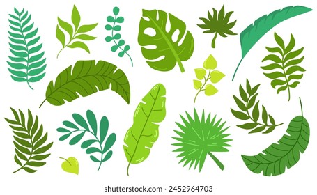 Tropical leaves hand draw vector set. Exotic leaves and branches in minimalistic flat style isolated on white.