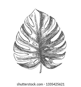 Tropical leaves hand drawn