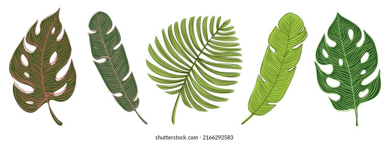 Tropical Leaves Hand Drawn Collection. Hawaiian Paradise Design Elements Set. . Vector illustration