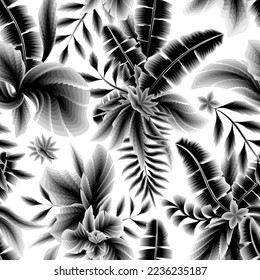 Tropical leaves hand drawn seamless pattern with botanical plants foliage on white background. fashionable prints texture. Floral background. Exotic tropic wallpaper. Summer design. Vintage botanical 