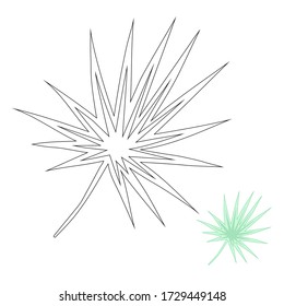 Tropische Blätter handgezeichnete Vektorskizzen setzen. Exotische Pflanze, schwarze Illustrationen. Umrisse Blumendesign, Plumeria, Palmen, Ficus, Farn. Designelemente für einfarbige, florale Postkarten