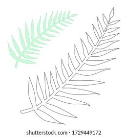 Tropical leaves hand drawn vector sketches set. Exotic plant, black ink illustrations. Outline floral design, plumeria, palm trees, ficus, fern. Monochrome floral postcard design elements for coloring