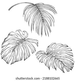Tropical leaves. Hand drawn vector illustration isolated on white. Eps 10