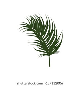 tropical leaves icon