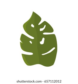 tropical leaves icon