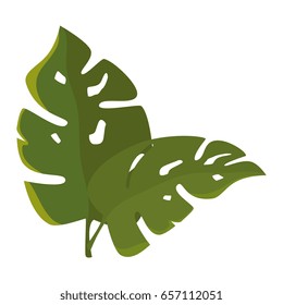 tropical leaves icon