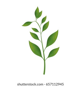 tropical leaves icon