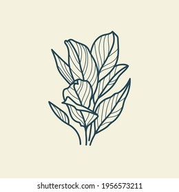 Tropical leaves icon outline drawing. Minimal floral vintage style. Doodle plant vector illustration. Pure nature organic brush. Line drawing. Botanical floral badge. Eco product emblem.