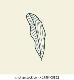Tropical leaves icon outline drawing. Minimal floral vintage style. Doodle plant vector illustration. Pure nature organic brush. Line drawing. Botanical floral badge. Eco product emblem.