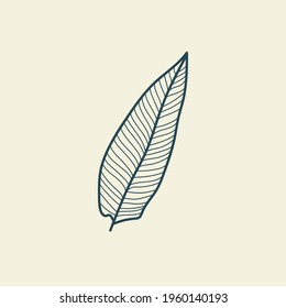 Tropical leaves icon outline drawing. Minimal floral vintage style. Doodle plant vector illustration. Pure nature organic brush. Line drawing. Botanical floral badge. Eco product emblem.