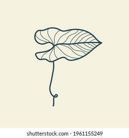 Tropical leaves icon outline drawing. Minimal floral vintage style. Doodle plant vector illustration. Pure nature organic brush. Line drawing. Botanical floral badge. Eco product emblem.