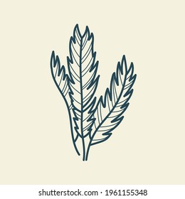 Tropical leaves icon outline drawing. Minimal floral vintage style. Doodle plant vector illustration. Pure nature organic brush. Line drawing. Botanical floral badge. Eco product emblem.