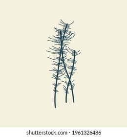 Tropical leaves icon outline drawing. Minimal floral vintage style. Doodle plant vector illustration. Pure nature organic brush. Line drawing. Botanical floral badge. Eco product emblem.