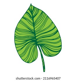 Tropical leaves icon outline drawing. Minimal floral vintage style. Doodle plant vector illustration. Pure nature organic brush. Line drawing. Botanical floral badge. Eco product emblem.