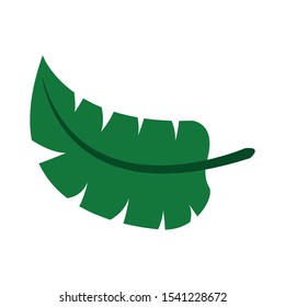 Tropical leaves icon, Vector isolated elements on the white background