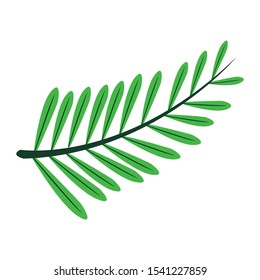 Tropical leaves icons. Vector isolated elements on the white background