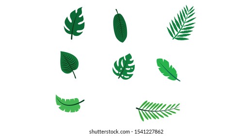 Tropical leaves icons. Vector isolated elements on the white background