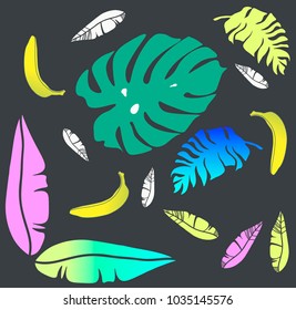 Tropical leaves illustration