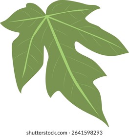 Tropical Leaves Illustration. Flat Cartoon Design of Plant and Flower. Isolated Vector