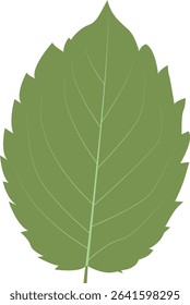 Tropical Leaves Illustration. Flat Cartoon Design of Plant and Flower. Isolated Vector