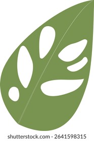 Tropical Leaves Illustration. Flat Cartoon Design of Plant and Flower. Isolated Vector