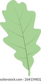 Tropical Leaves Illustration. Flat Cartoon Design of Plant and Flower. Isolated Vector