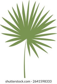 Tropical Leaves Illustration. Flat Cartoon Design of Plant and Flower. Isolated Vector