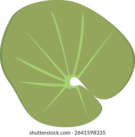 Tropical Leaves Illustration. Flat Cartoon Design of Plant and Flower. Isolated Vector