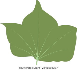 Tropical Leaves Illustration. Flat Cartoon Design of Plant and Flower. Isolated Vector