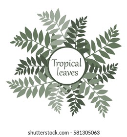 tropical leaves illustration, green brunches of exotic plants on white