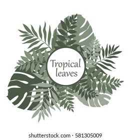 tropical leaves illustration, green exotic plants on white