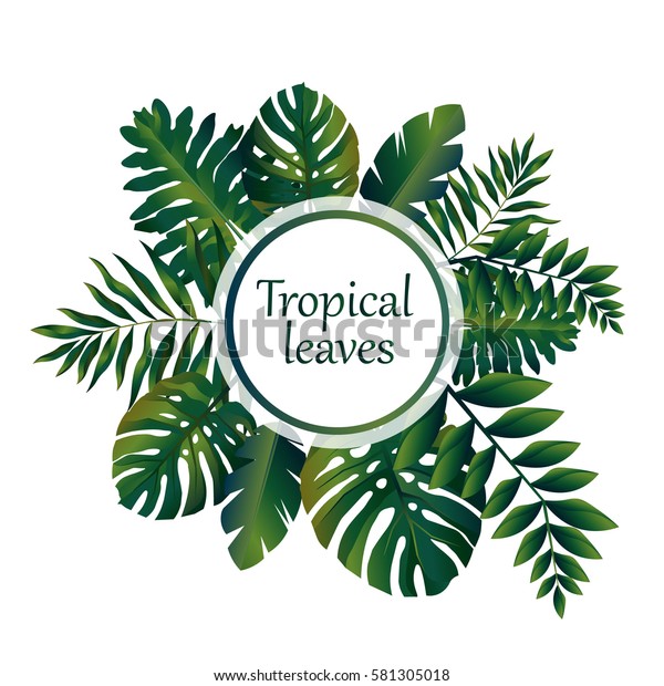 Tropical Leaves Illustration Wreath Green Exotic Stock Vector (Royalty ...