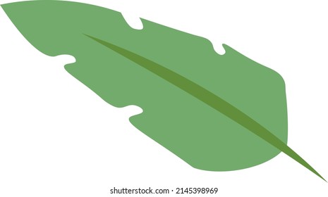 Tropical Leaves individual florals elements
