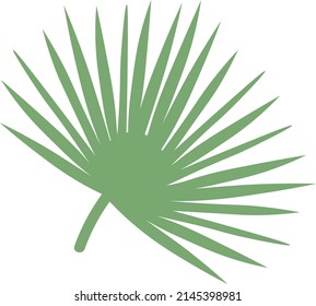 Tropical Leaves individual florals elements