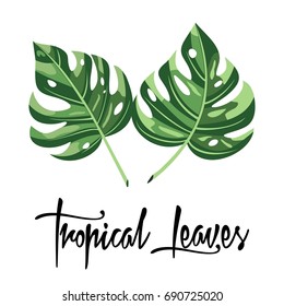 Tropical leaves with an inscription. Vector illustration.