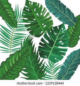 Tropical leaves isolated