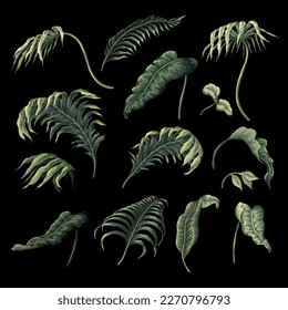 Tropical leaves isolated on the black background. Vector