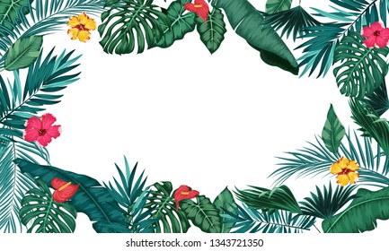 Tropical leaves isolated on white background