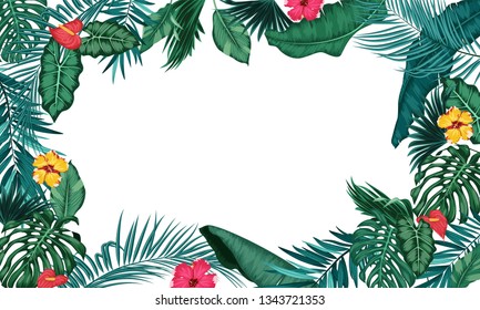 Tropical leaves isolated on white background