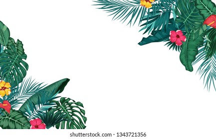 Tropical leaves isolated on white background