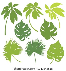 Tropical leaves isolated on white background. Set of green palm and monstera leaves. Vector illustration