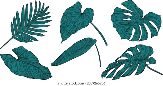 Tropical leaves isolated on white. Hand drawn vector illustration