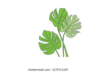 Tropical leaves isolated on white background. vector illustrator
